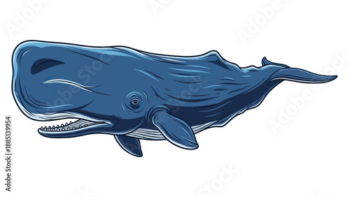 Sperm Whale Illustration - Majestic Cetacean Marine Mammal