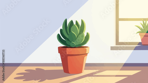 A lone potted succulent plant sits in soft sunlight near a window