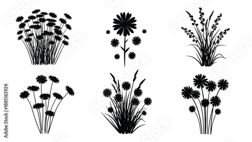 lack silhouette collection of various flowers and meadow grass bunches isolated on white background for garden nature design and icons (20 words)