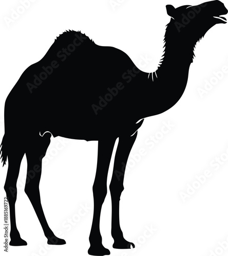Elegant Silhouette of a Camel for Creative Projects