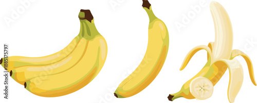 Realistic Yellow Banana Vector Set with Whole Bunch Single Fruit and Peeled Banana with Slice for Food Branding Grocery and Healthy Nutrition Designs