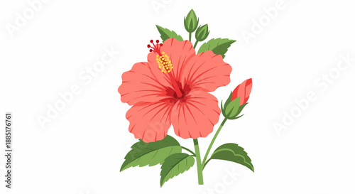 Vibrant tropical hibiscus flower illustration with lush green leaves and a budding bloom, showcasing the beauty of nature's delicate artistry and serene charm