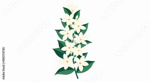 Elegant cluster of delicate white jasmine flowers with lush green leaves, a beautiful floral illustration capturing natural grace and purity