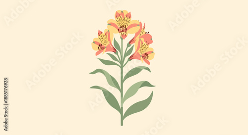 Delicate Yellow and Orange Alstroemeria Lily Flower Illustration on a Cream Background