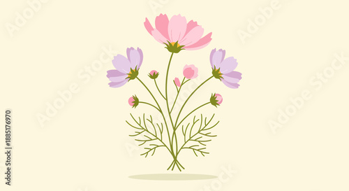 A delightful composition of delicate pink and purple cosmos flowers, perfect for floral-themed designs and illustrations