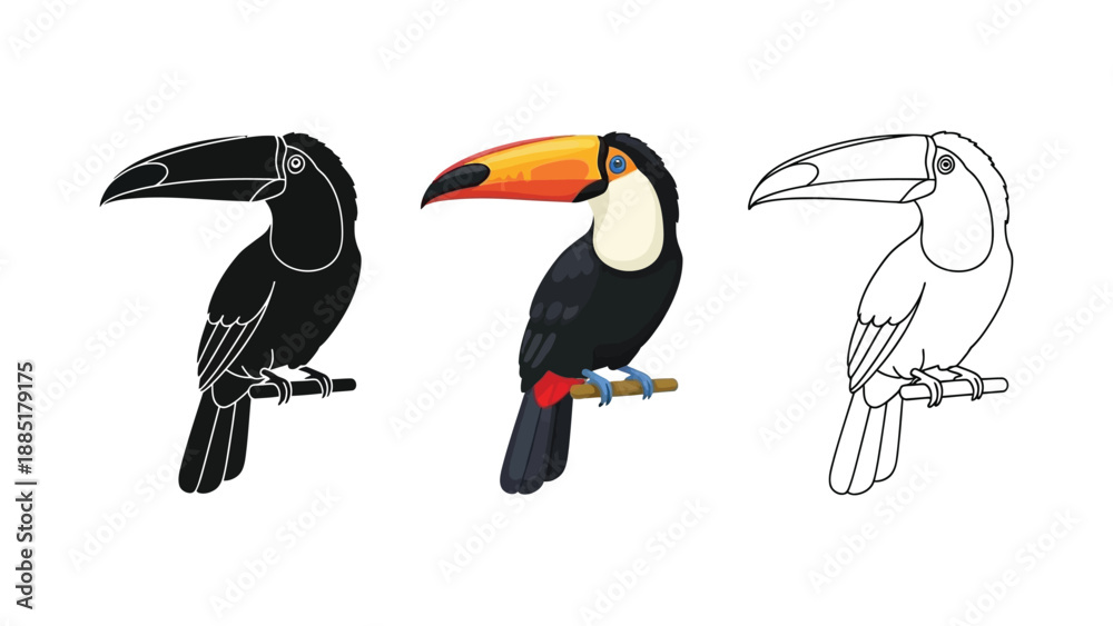 Obraz premium Set of three toucan illustrations in black silhouette, full color, and outline styles