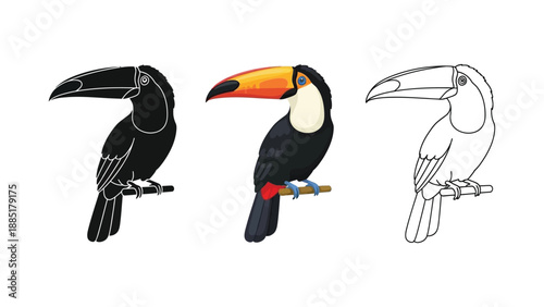 Set of three toucan illustrations in black silhouette, full color, and outline styles