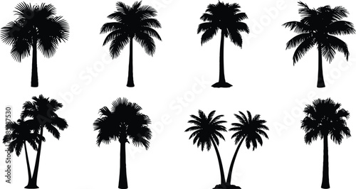 Array of 8 striking black silhouette palm trees with lush foliage and distinct trunk shapes, perfect for evoking a tropical paradise.