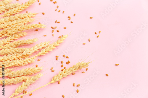 Wheat ears and grains on pi...