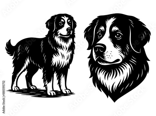 Bernese Mountain Dog Linocut Illustration with Full Body and Head Portrait in Black and White