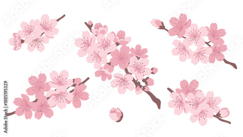 Wallpaper Mural Delicate Pink Cherry Blossom Branches and Buds on White Background Torontodigital.ca