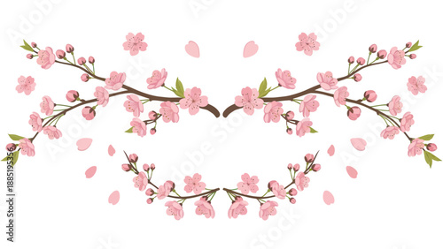 Delicate Pink Cherry Blossom Branches and Petals