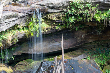 Wandcirkels Toilet Kleine waterval in zomerse bospoel  © wannasak