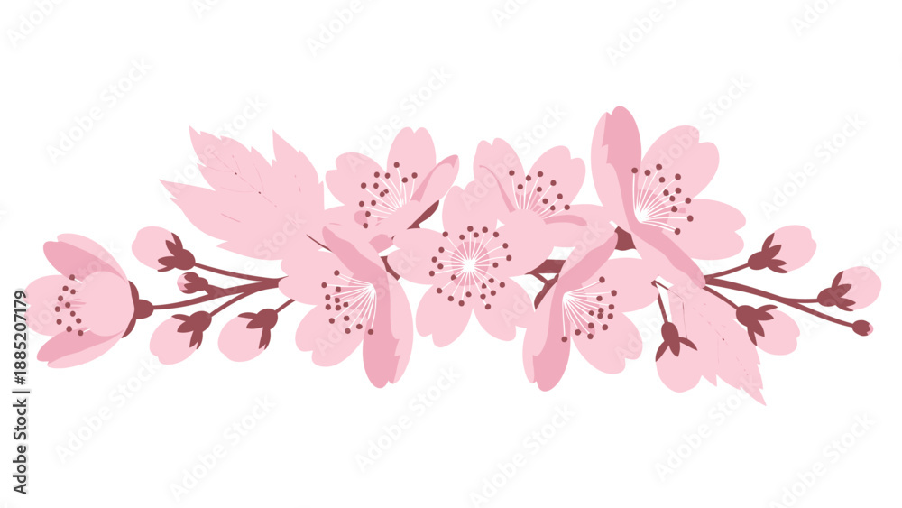 Fototapeta premium Delicate Pink Cherry Blossoms Branch with Buds on White Background