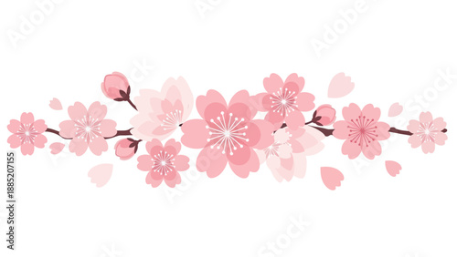 Delicate Pink Cherry Blossoms Branch Illustration, Spring Floral Design Element