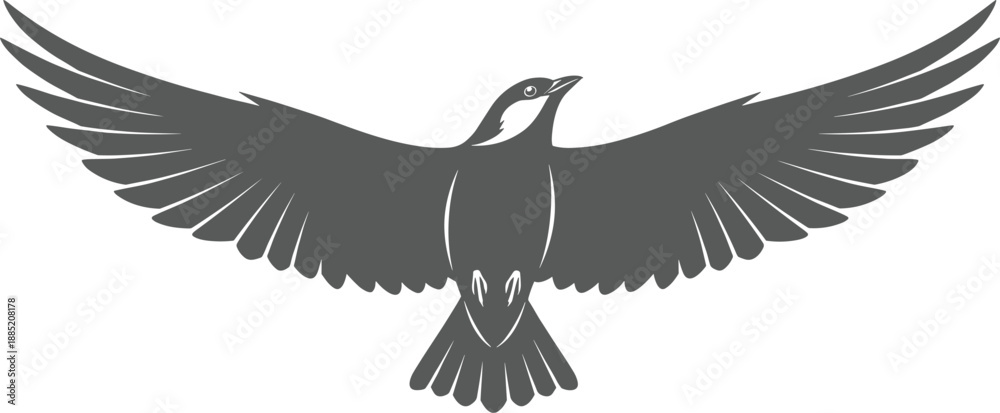 Obraz premium Flying bird silhouette illustration with open wings, black and white vector design, wildlife bird drawing artwork, freedom nature symbol, avian graphic sketch