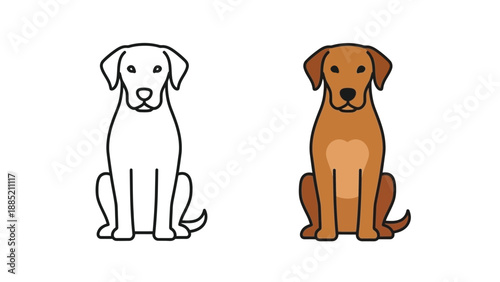 Simple vector illustration of a Labrador retriever dog shown in both outline drawing and full color fill side by side comparison