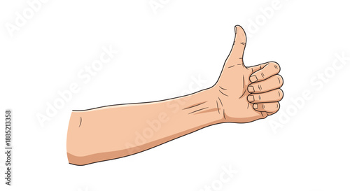 Realistic illustration of a human hand giving a thumbs up gesture signifying approval success positivity and agreement on white.