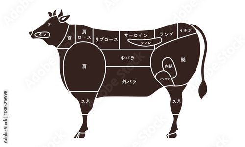 牛　肉　牛肉　部位　断面図　モノクロ