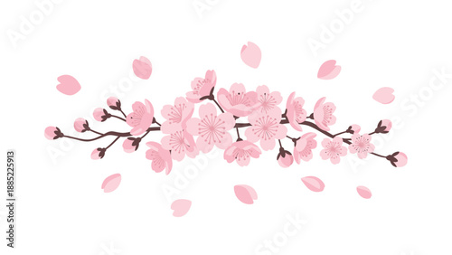 Pink Cherry Blossom Branch with Falling Petals on White Background