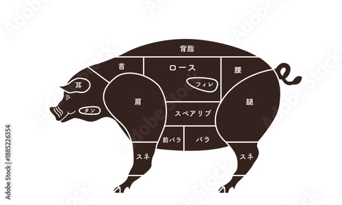 豚　肉　豚肉　部位　断面図　モノクロ