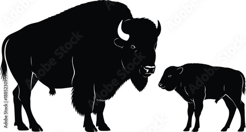 Bison and calf silhouettes standing together, wild buffalo family concept, wildlife nature illustration, black vector isolated on white background
