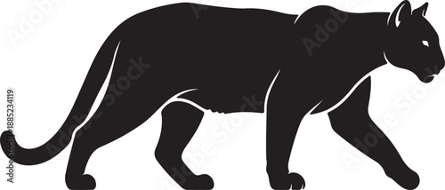 A black panther walks across a plain white background in a powerful stride.