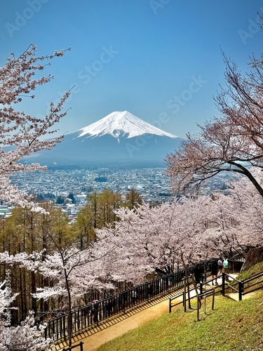 View of Mt Fuji on a clear sunny spring day