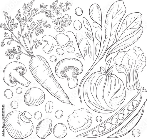 Black and of assorted raw vegetables and mushrooms carrot peas