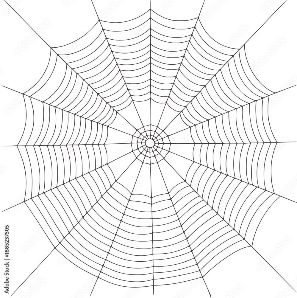 Obraz premium Detailed black ink spiderweb radial pattern intricate