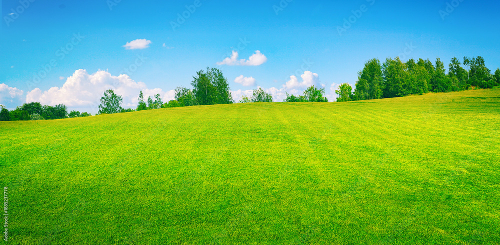 Obraz premium Wide panoramic view of a fresh green lawn in a sunny park with blurry trees and blue sky. A peaceful spring nature background perfect for landscape design.