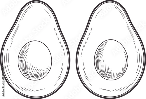 Two halves of an avocado with pit sketched in linework style food