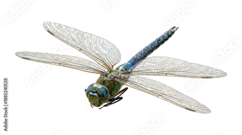 Beautiful blue and green dragonfly with iridescent transparent wings is captured in a highly detailed macro photograph showing its intricate patterns and vibrant colors