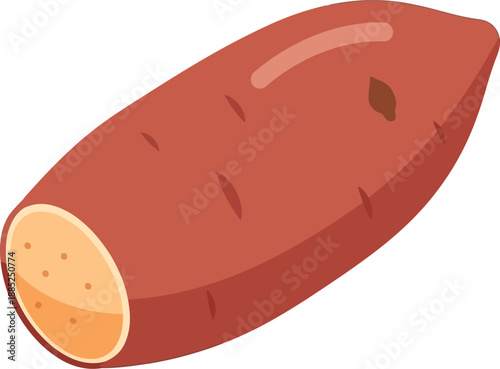 Vector illustration of whole sweet potato isolated on white background for healthy food and nutrition concepts