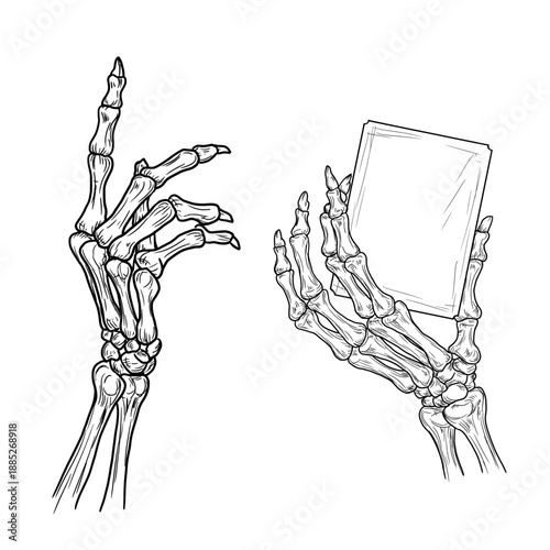 Skeleton hands, bony fingers holding a card, black and white sketch. Vector illustration. Dead man's skeletal hands, set isolated on white background. Suitable for Halloween prints, various occasions