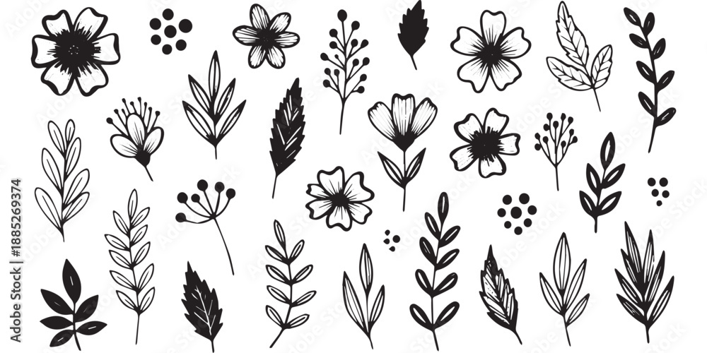 Fototapeta premium Hand Drawn Floral Elements and Botanical Illustrations Set.