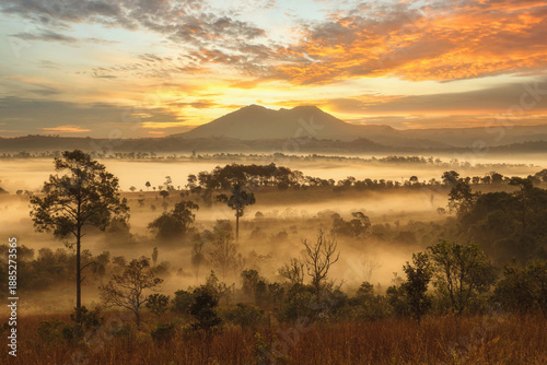 mountain peaks in morning fog - foggy morning over thailand moun