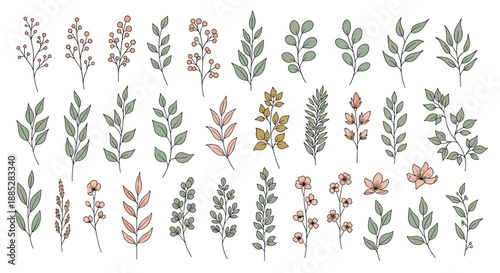 Extensive set of hand drawn botanical illustrations featuring various colorful leaves flowers and berry branches for design.