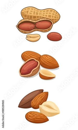Peanut silhouette, various pea nut clipart, pea nut vector art, pea nut shape vector, vector of pea nut set isolated