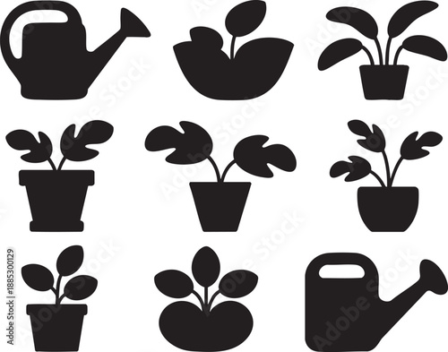 Black and white watering cans and potted plants with various leaf shapes and sizes leaves 1