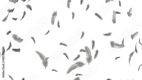 Abstract Falling Feathers on Black Background