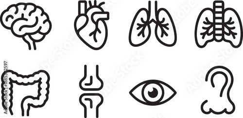 A collection of detailed outline icons depicts major internal human organs including the brain, heart, lungs, intestines, and joints for medical representation.
