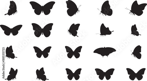 Silhouette of multiple butterflies in various poses and shapes on white background