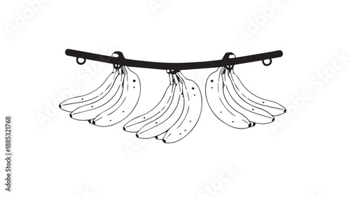 Minimal line illustration of a banana plant stem with hanging blossoms and botanical charm.