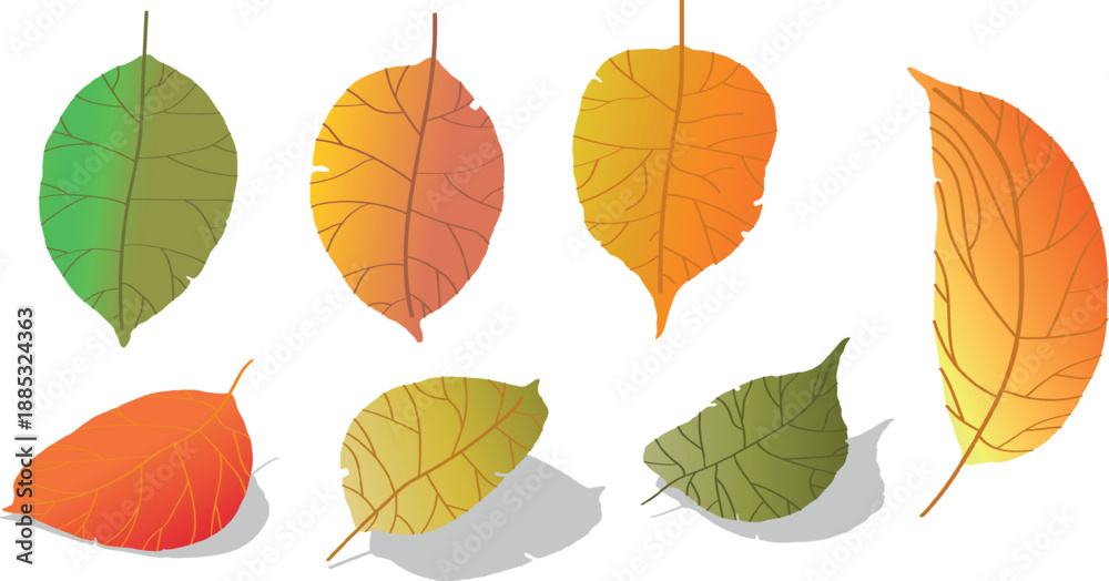 Fototapeta premium Autumn Leaves with Gradient Colors and Shadows fall