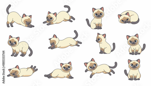 Cartoon Siamese cats in various playful poses on white background  