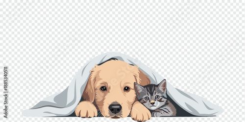 Cozy Puppy and Kitten Under Blanket, pet care concept