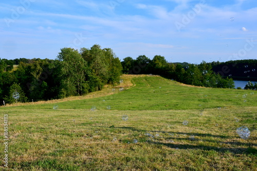 A close up on a vast field, meadow or pastureland surrounded with trees, ponds, lakes, and rivers, covered with mist and with some bubbles made out of soap flying in the air seen on a sunny summer day