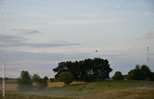 A close up on a vast field, meadow or pastureland surrounded with trees, ponds, lakes, and rivers, covered with mist and with some bubbles made out of soap flying in the air seen on a sunny summer day