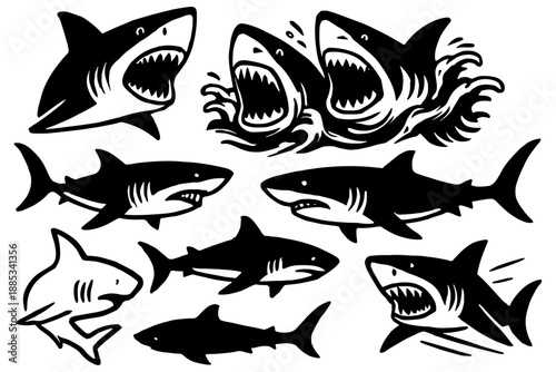 set of shark,
Marine Life Focused Shark Illustration Collection